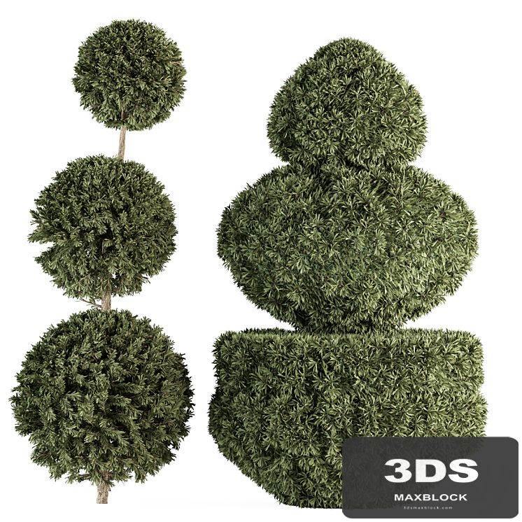 Topiary shape Bush - Bush Set 65