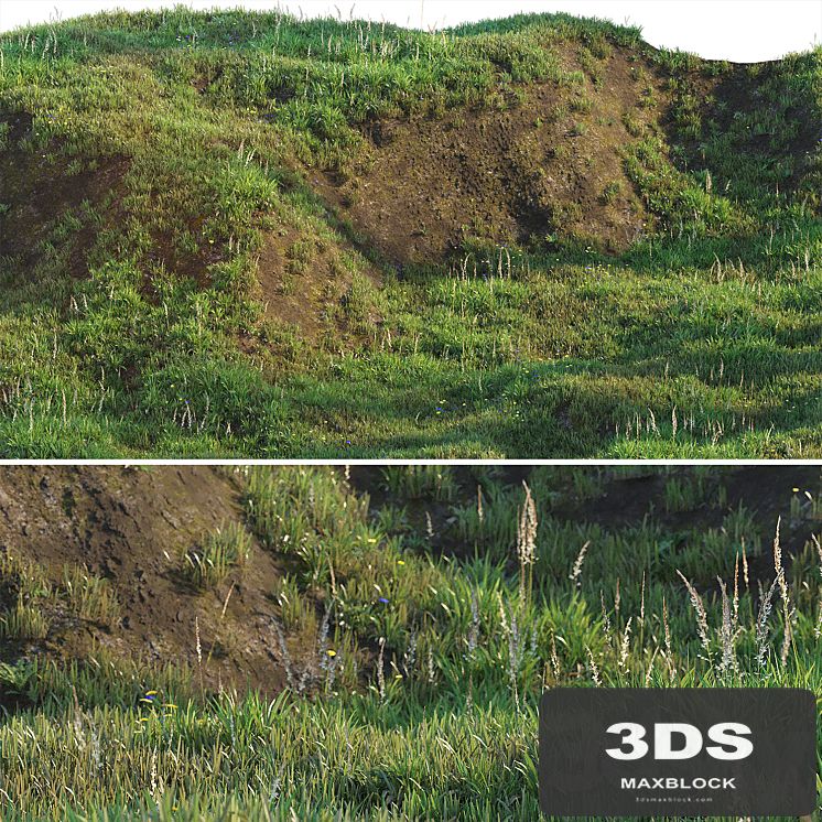 Grass on the slope