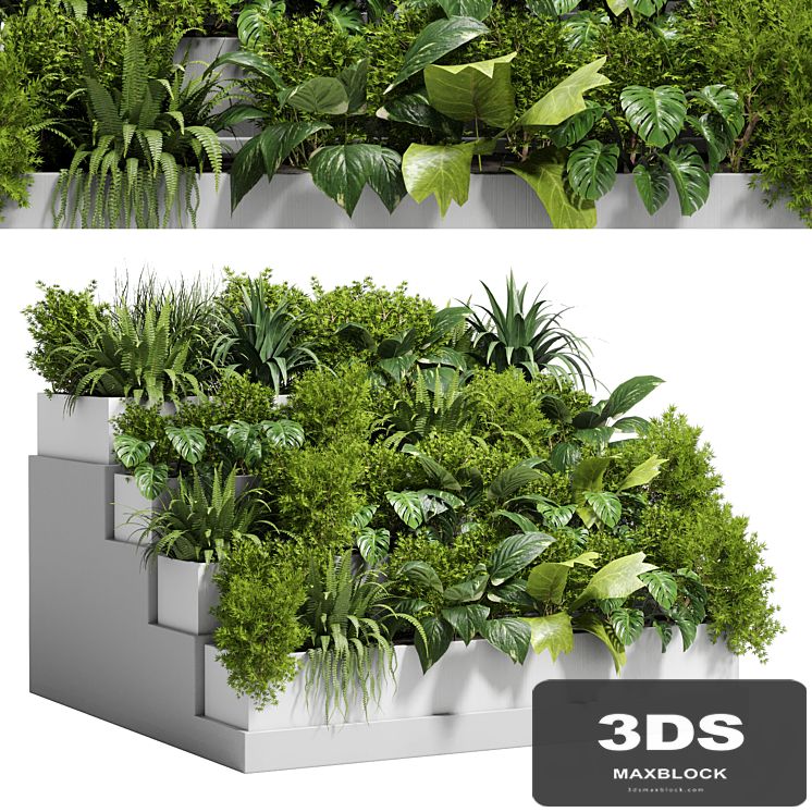 Stairs plant - Collection outdoor indoor plant 78 concrete vase pot fern bush grass