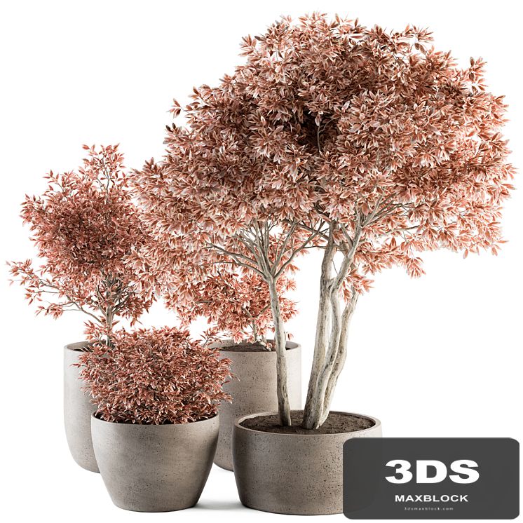 Outdoor Plant Set 359 - Pink Plant Set in Concrete Pot