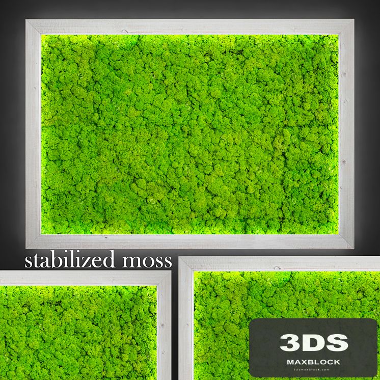 Stabilized moss.