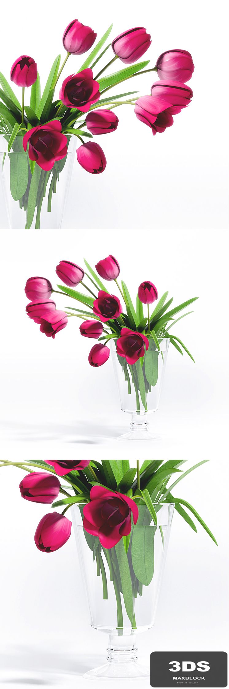 TULIP FLOWER - 5