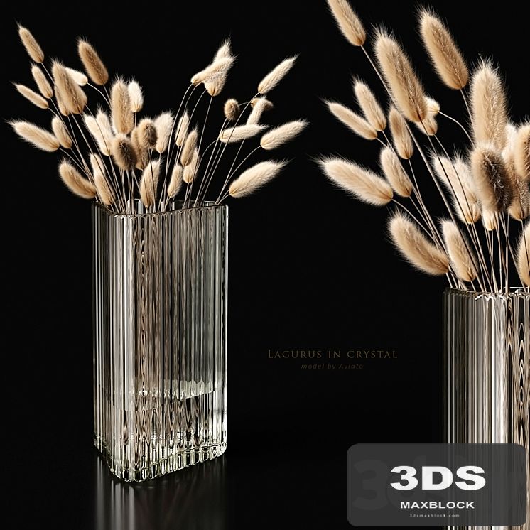 Lagurus in crystal