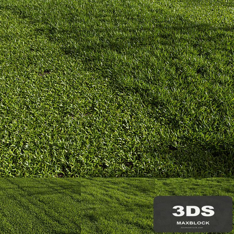 Grass Pack 01