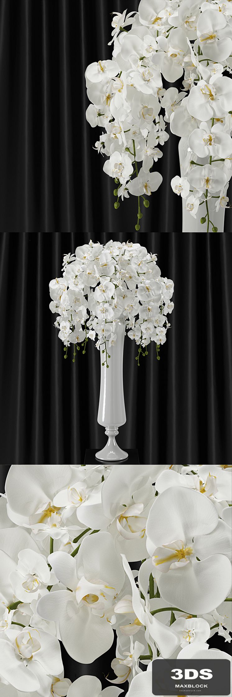 Orchid (phalaenopsis) bouquet