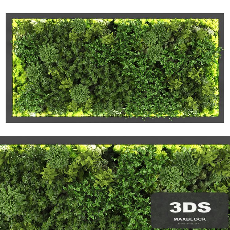 vertical garden169