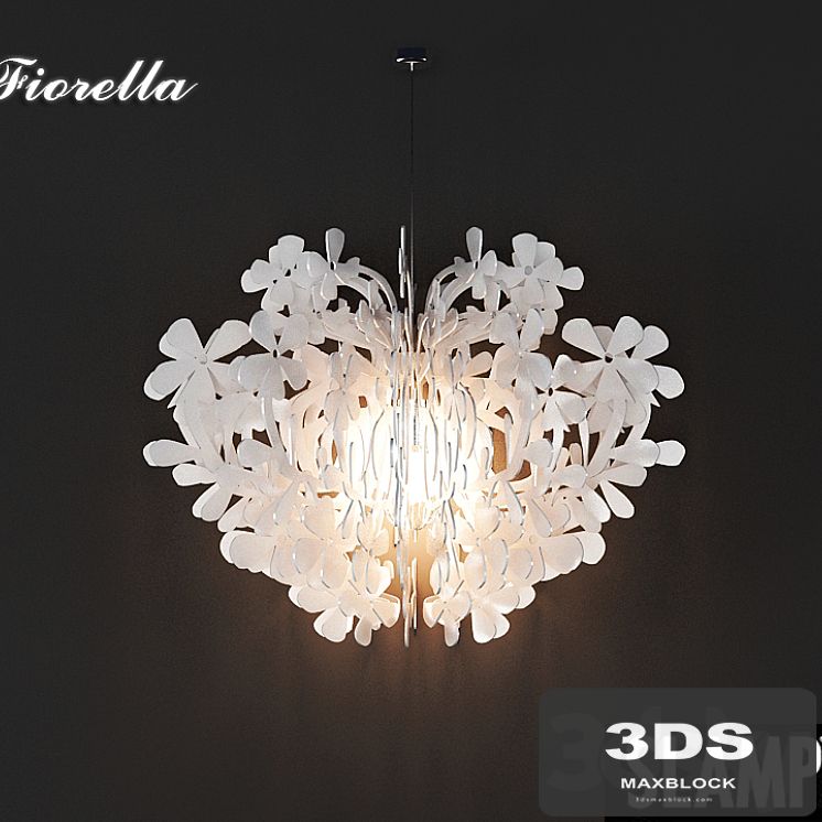 Split  Fiorella