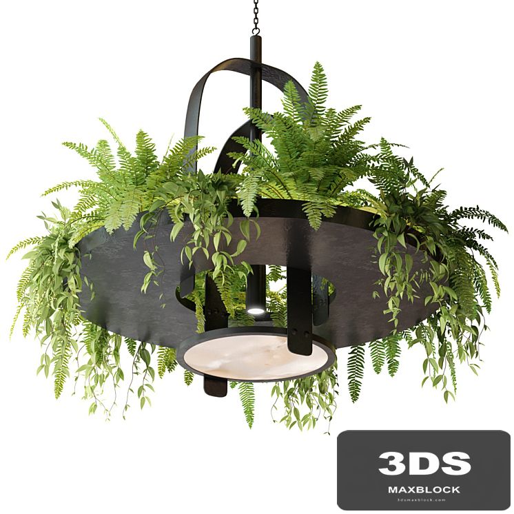 Hanging lamp with plants