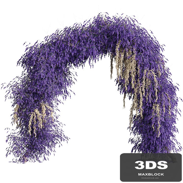 Arch of lavender flowers