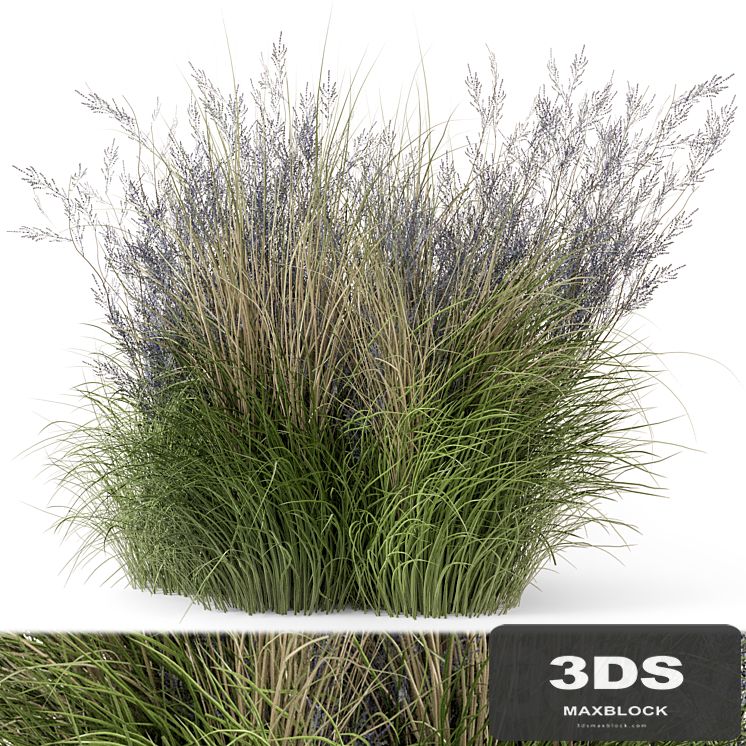 Outdoor Plants Bush-Bush Set 660
