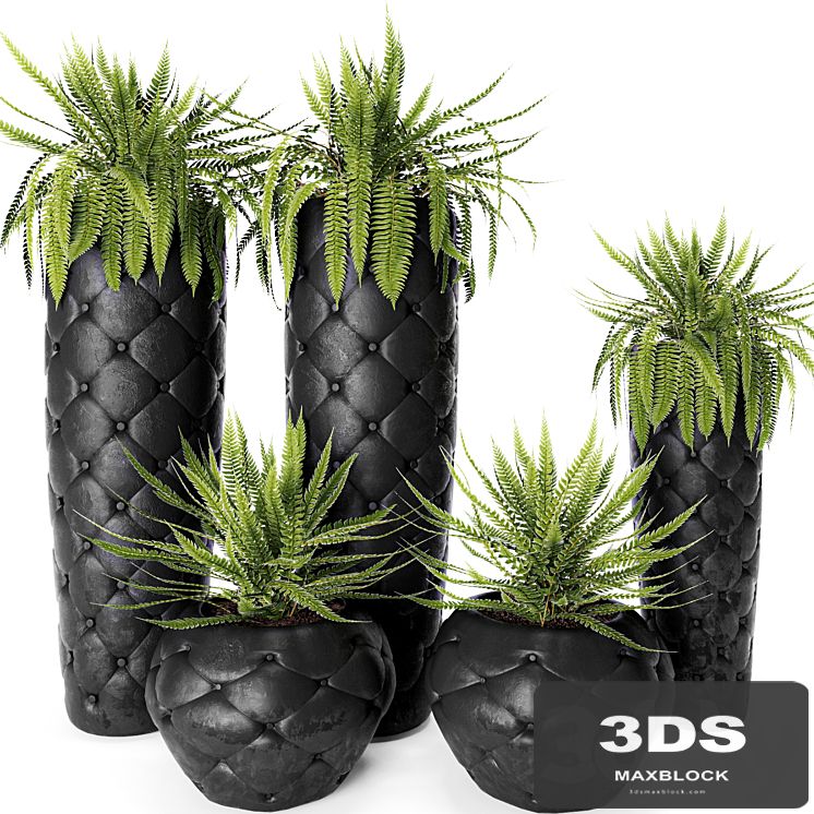 FERN + POTS Fleur Ami, luxury, flower, pot, flowerpot, fern