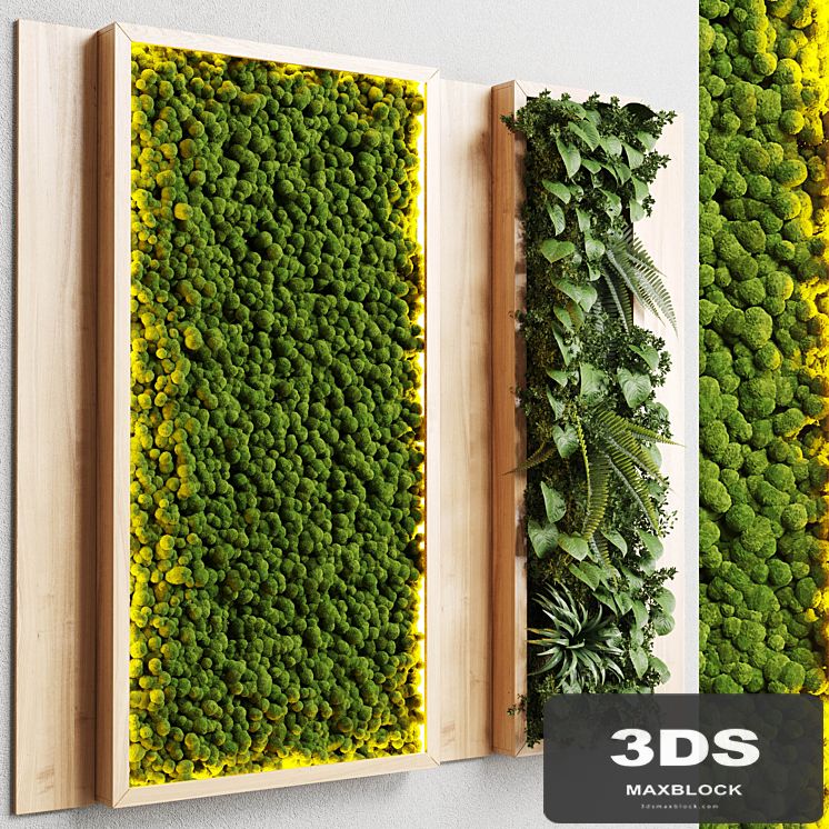 wall garden and vertical moss in wooden frame 22