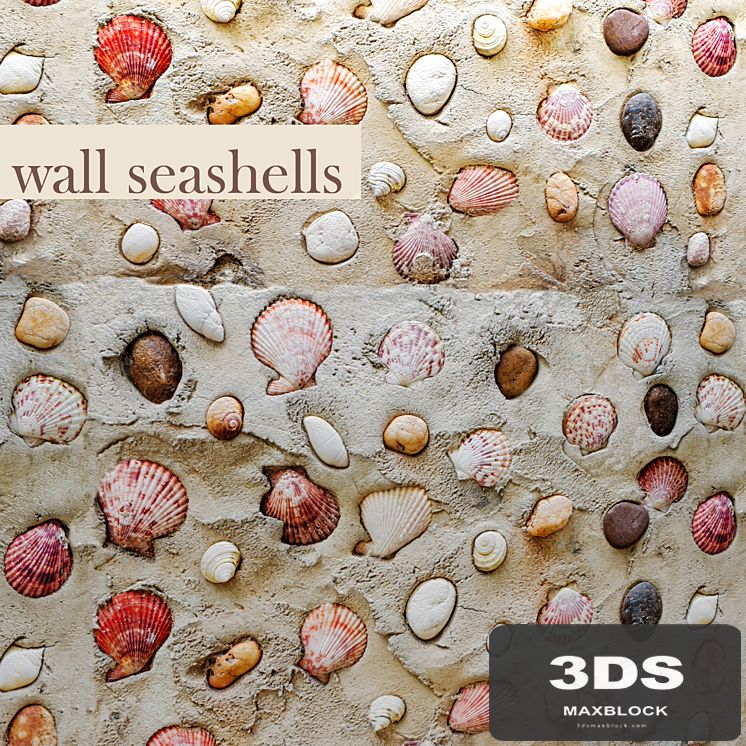 Wall with seashells.