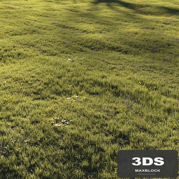 Grass and Flower