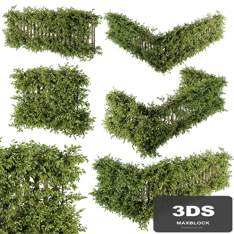 Outdoor Wood Fence with Ivy Plants - Fence 07