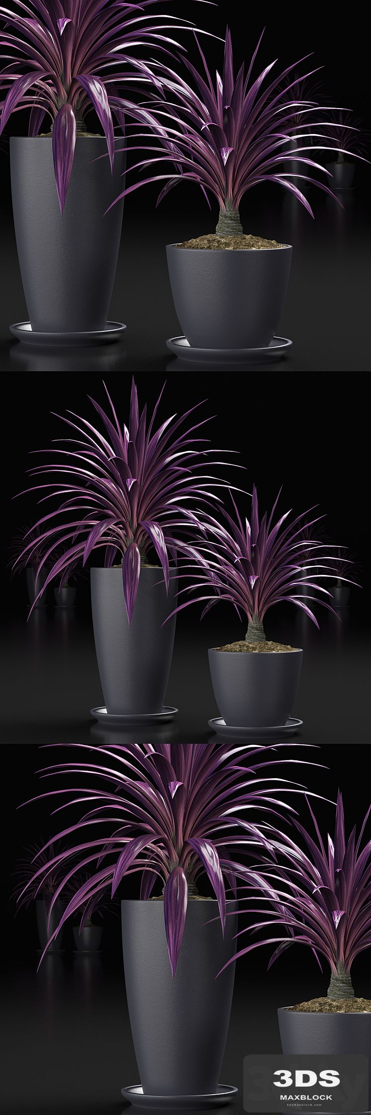 PLANTS_16