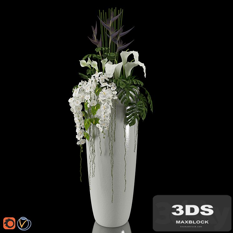 Exotic arrangement