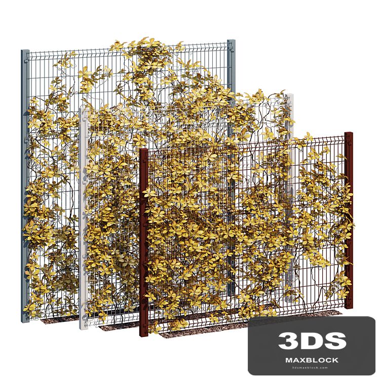 ivy wall ten