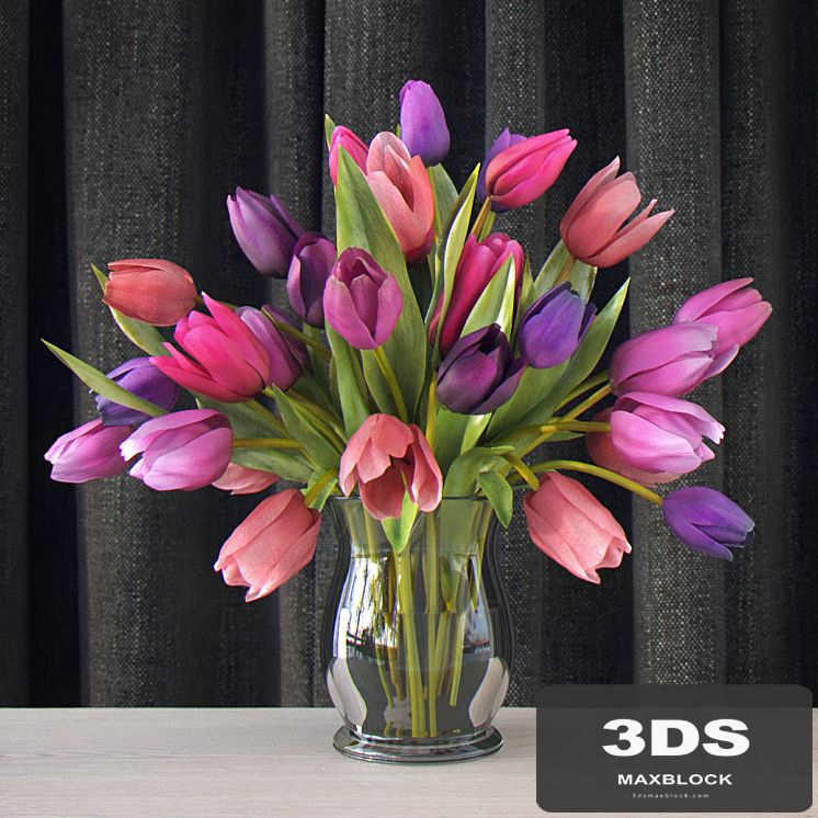 Tulips