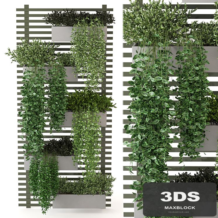 Indoor Plants Collection - Set 393