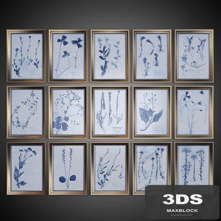 A set of pictures "Dried Flowers"