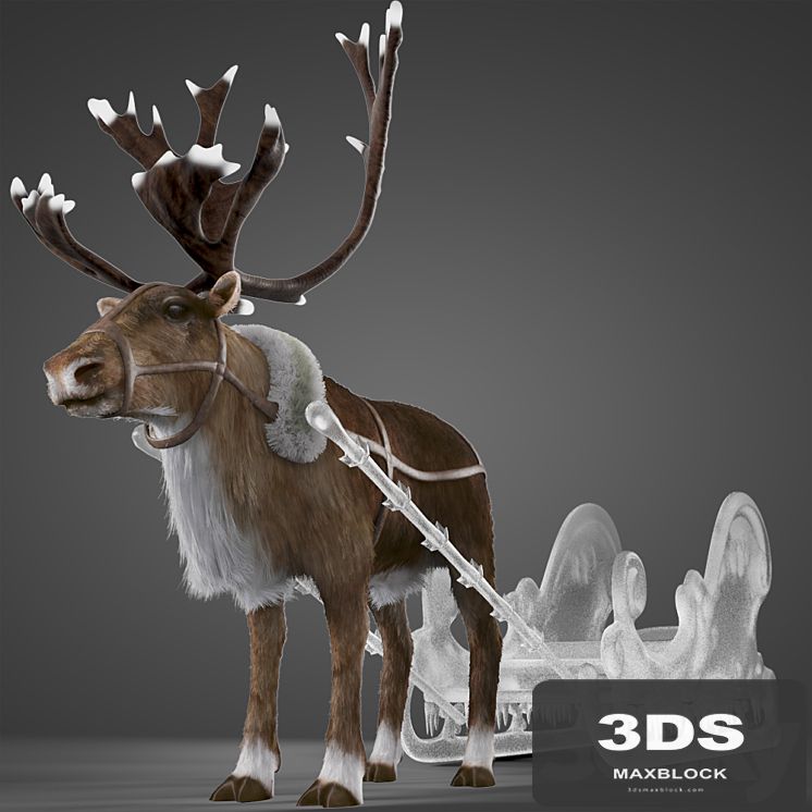 North Deer
