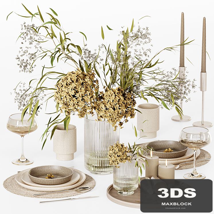 Kitchen tableware 020 (Vray)