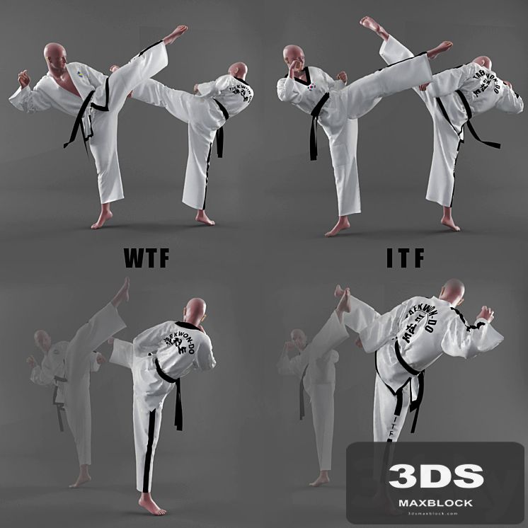 Form of taekwondo