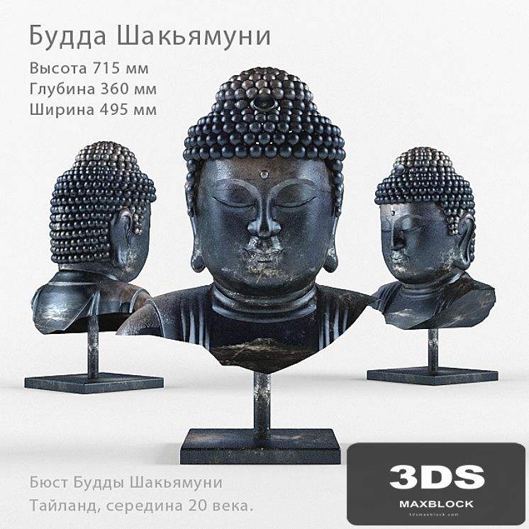 Bust Of The Buddha