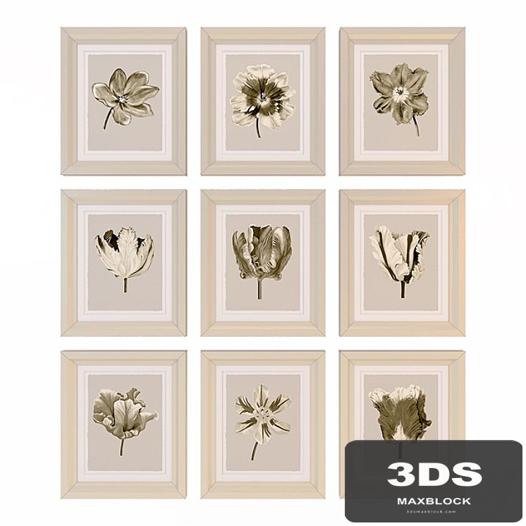 Charlotte Morgan Watercolour Tulips Sepia Nine Piece