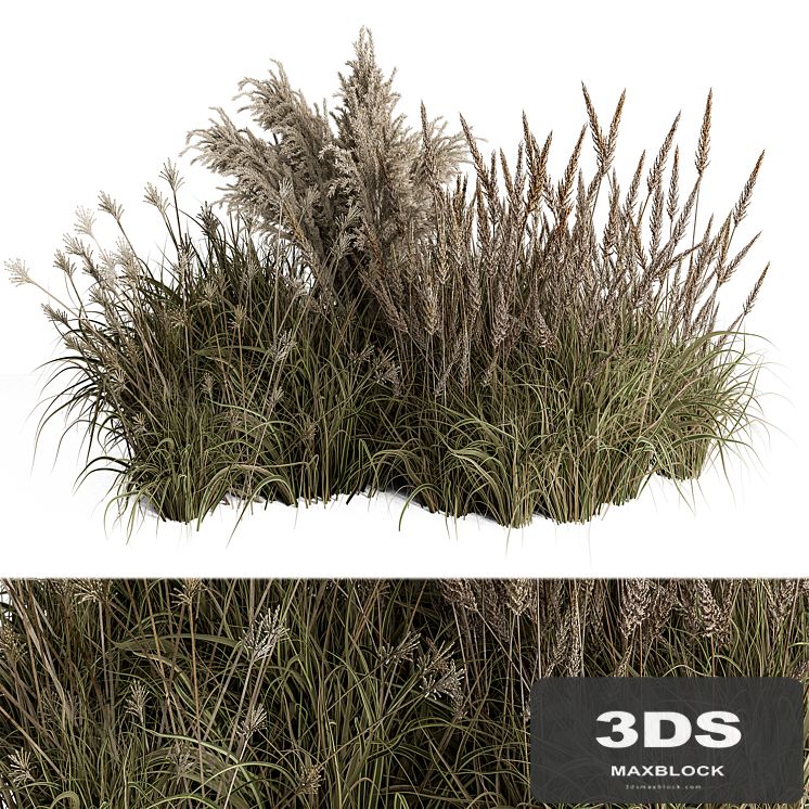 Pampas Plant Bush Set 96