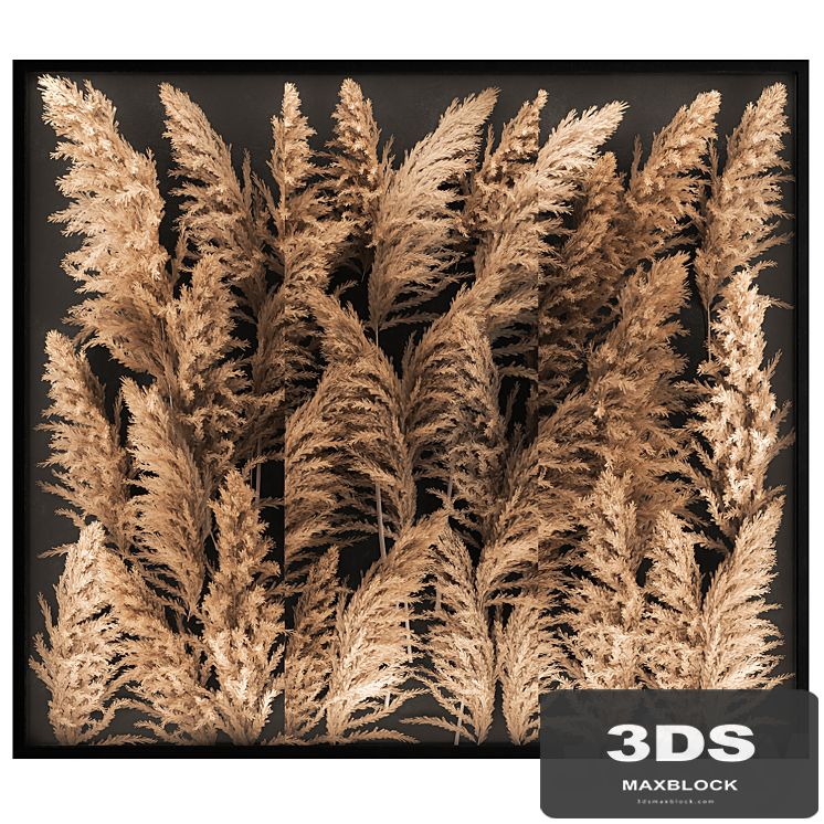 Phytostena of dried flowers behind glass made of reeds, pampas grass, wall decoration made of Cortaderia. 258.