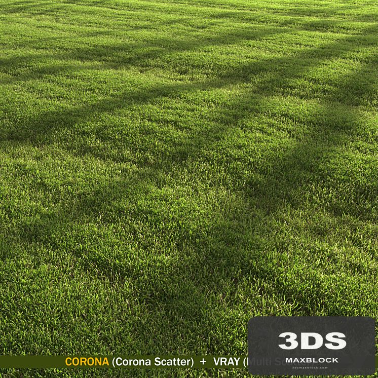 lawn landscape