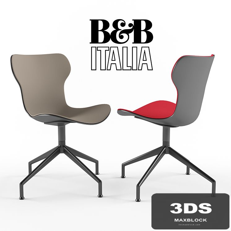 B &amp; B PAPILIO SHELL