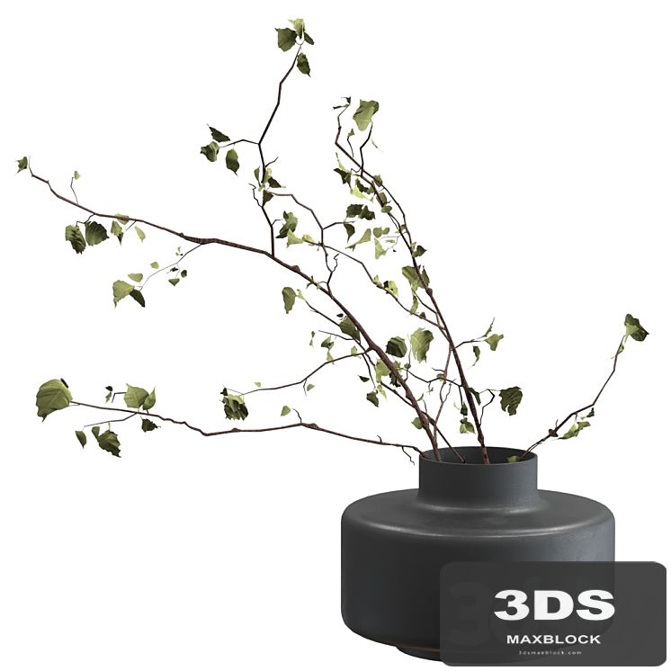 Bouquet of branches