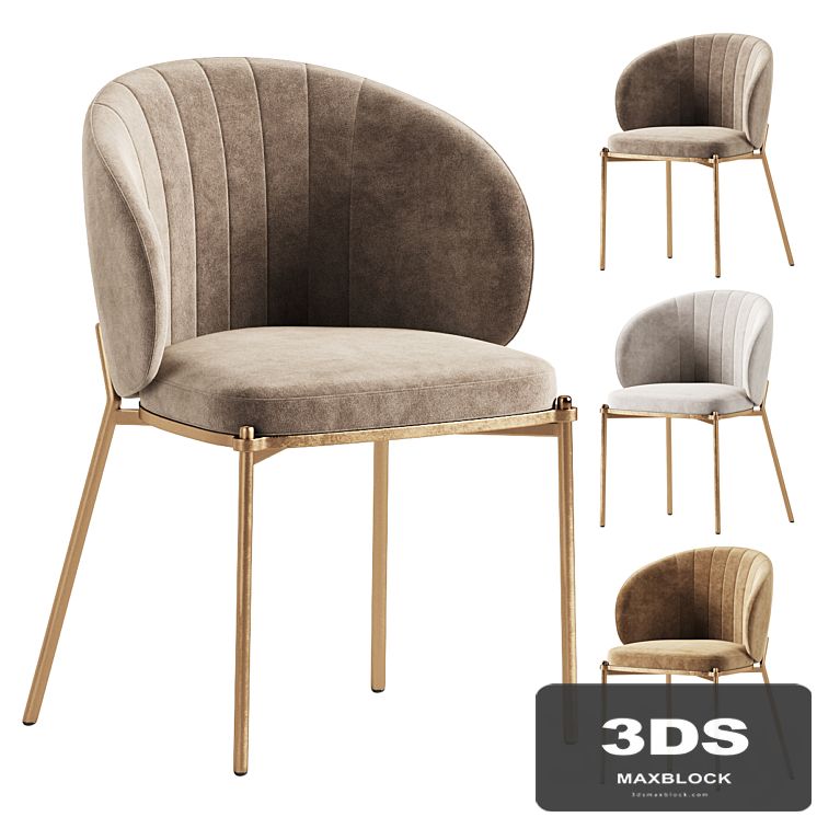 Shell Back Dining Chair