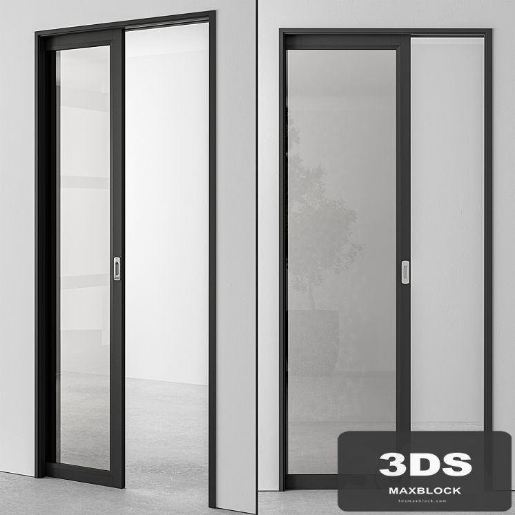 Glass Pocket Door - Set 51