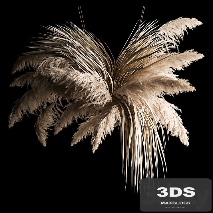 Hanging bouquet of dry reeds and pampas grass for decoration and interior. 266.