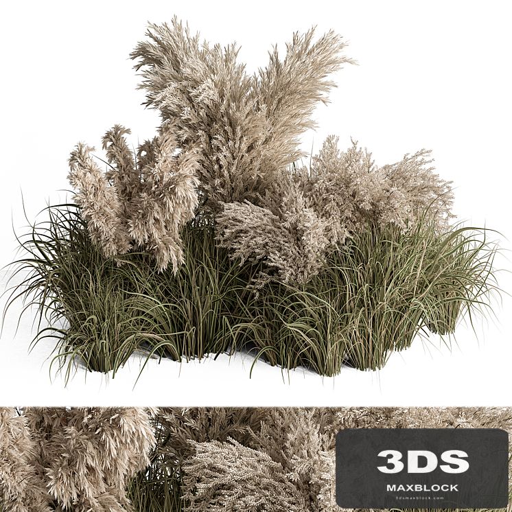 Mixed Pampas Plant Bush Set 95