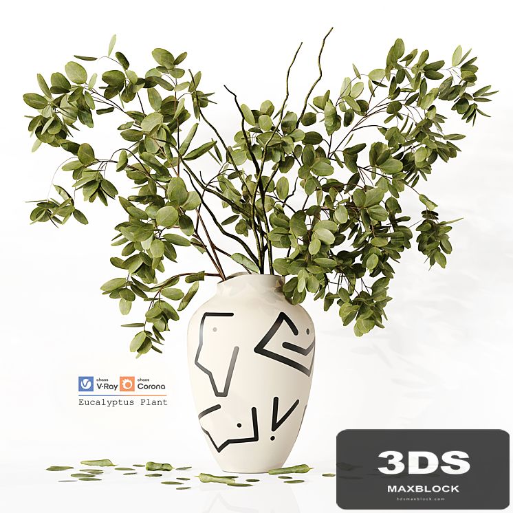 Eucalyptus Plant