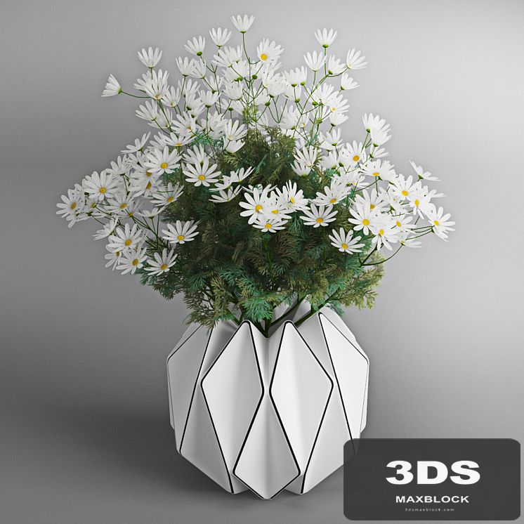 Daisies