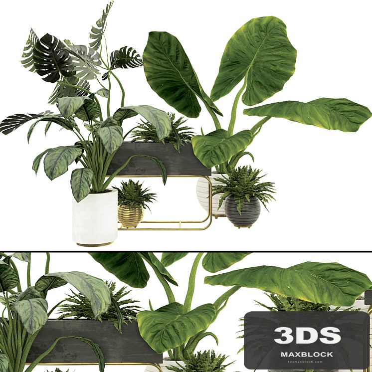 Plant Collection Set 07