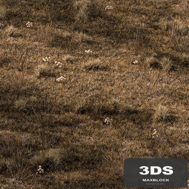 Dry Grass Set 16