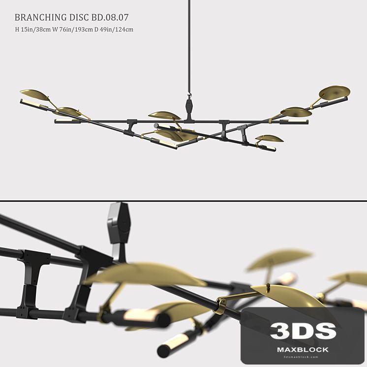 BRANCHING DISC BD.08.07