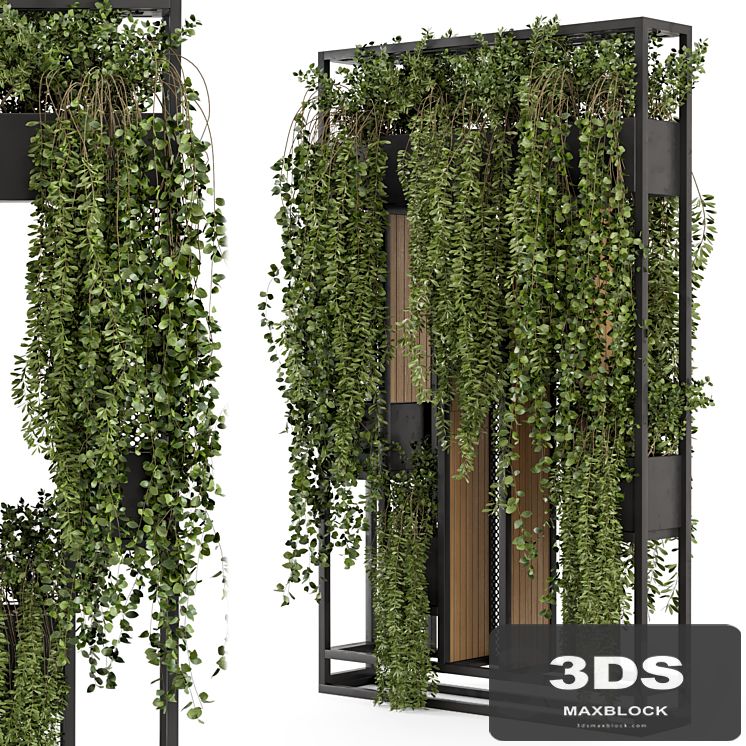 Indoor Hanging Plants in Metal Stand - Set 1005