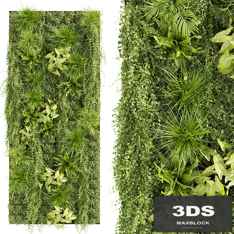 Collection plant vol 386 - fitowall - ertical - leaf - palm - grass - fern