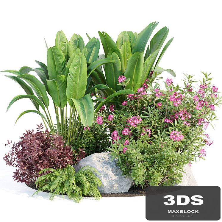 Outdoor Garden Plants Collection vol 136