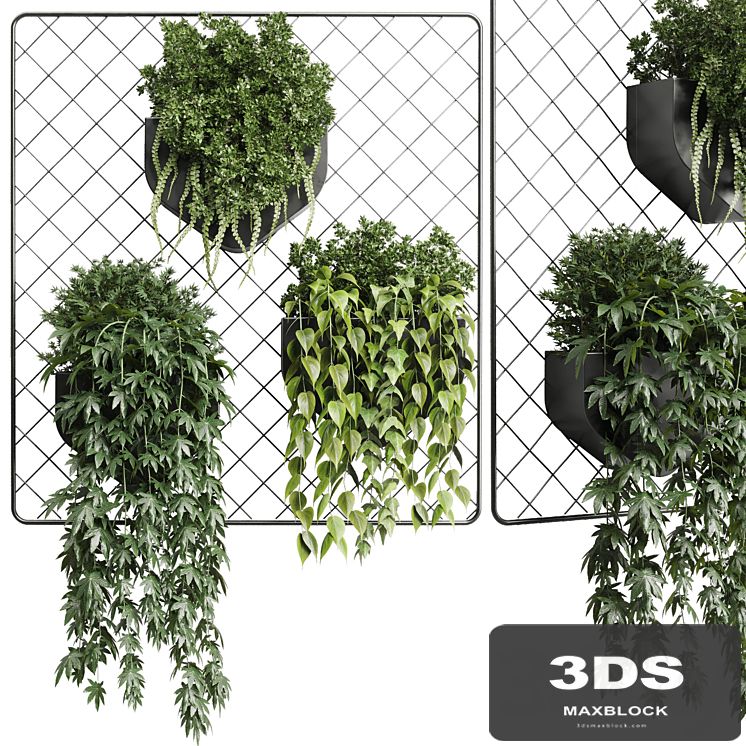 wall plant - hanging plants collection Indoor plant 293 metal dirt vase