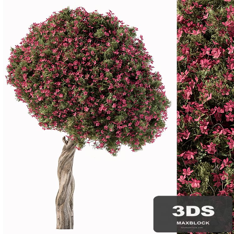 Flower Tree - Set 104