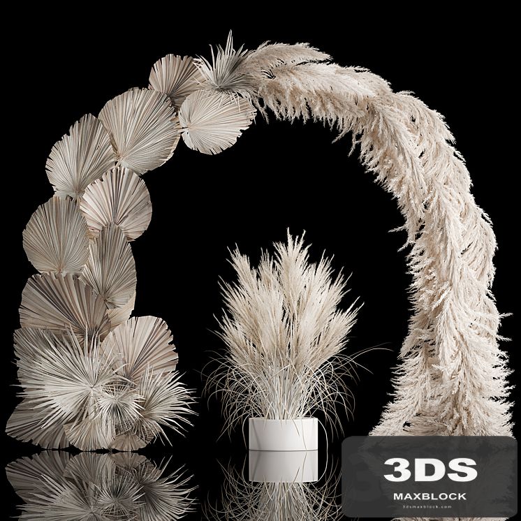 Wedding arch for decoration and decoration of the celebration with a bouquet of white pampas grass and dry palm branches